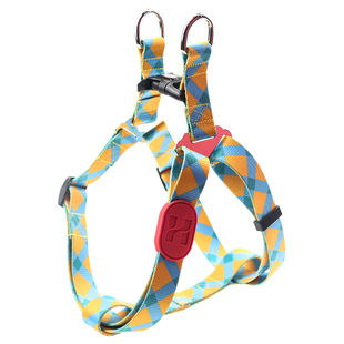 潮牌宠物项圈颈圈牵引绳胸背带狗绳狗狗泰迪法斗柯基金毛中大型犬