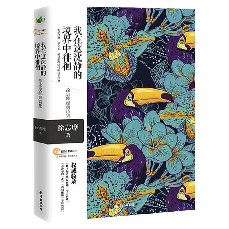 我在这沈静的境界中徘徊
