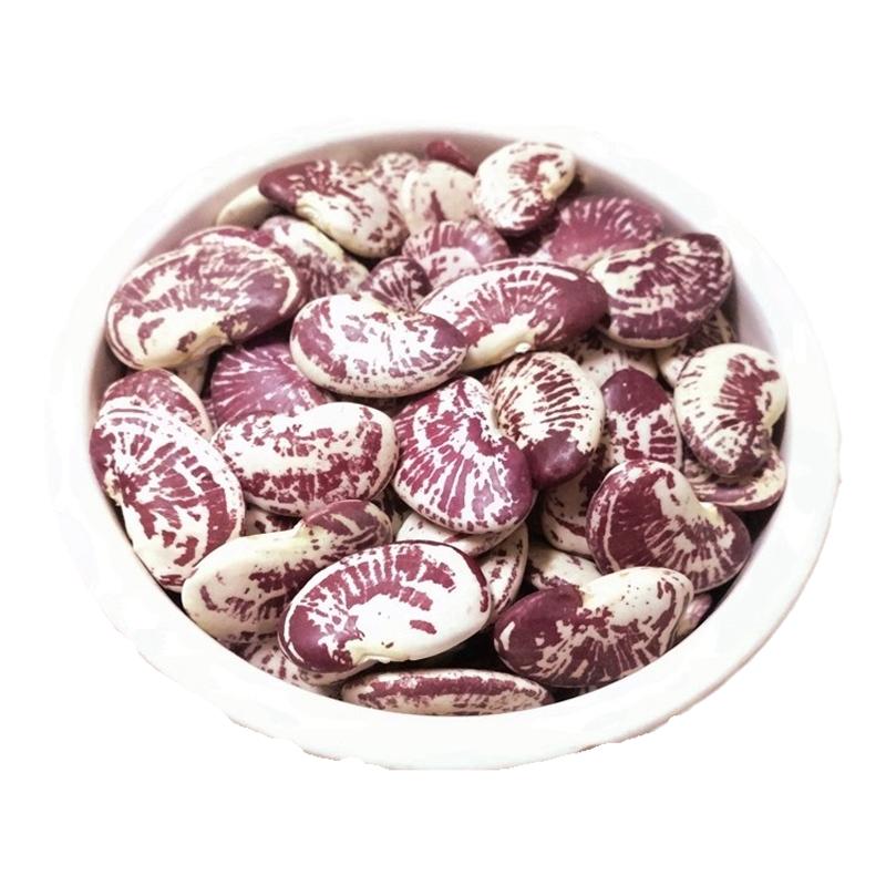 荷包豆1斤农家花豆肾豆芸豆
