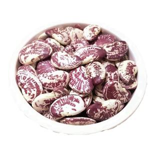 云南农家荷包豆状元豆大肾豆500g豆类五谷杂粮花芸豆花豆非斑马豆