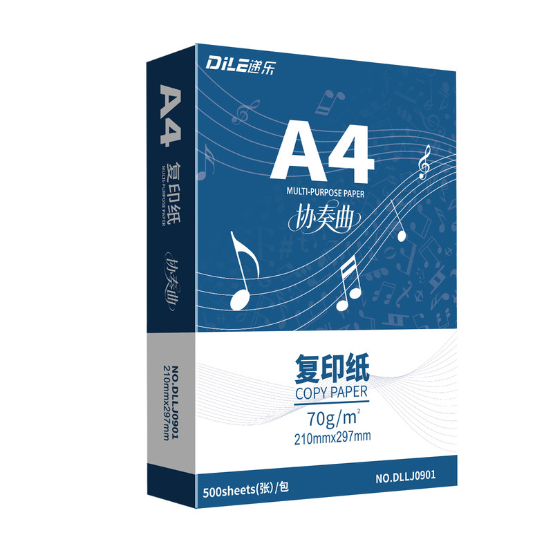 递乐70gA41箱5包复印纸