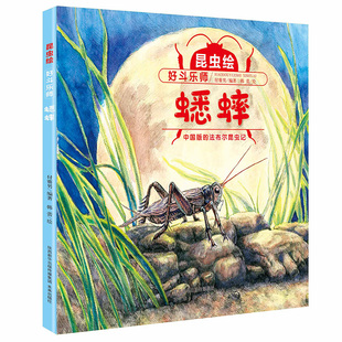 昆虫绘 好斗乐师——蟋蟀       法布尔昆虫记改编的精细手绘本