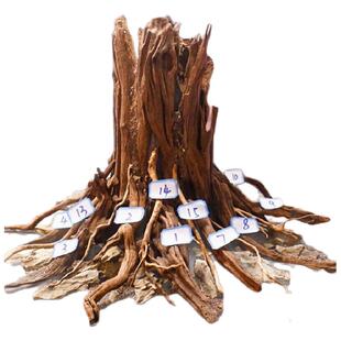 鱼缸造景生命之树沉木骨架树桩水族箱草缸新手懒人装饰全套装成品