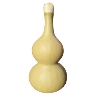 天然特大巨型超大葫芦种子中小酒八宝葫芦籽文玩迷你亚腰手捻大全