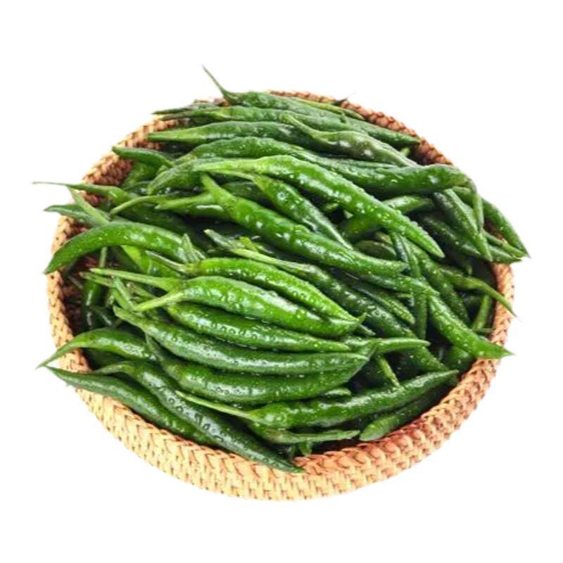 湖南特产薄皮青椒特辣现摘现发