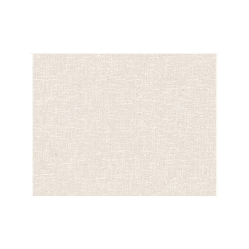 超薄1mm入户门地垫进门门口不卡门门垫纯色简约家用免洗可擦地毯