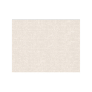 超薄1mm入户门地垫进门门口不卡门门垫纯色简约家用免洗可擦地毯