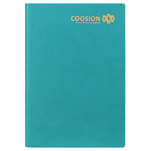 道林本子私人定制logo个人企业办公用品商务笔记本定制服务专拍