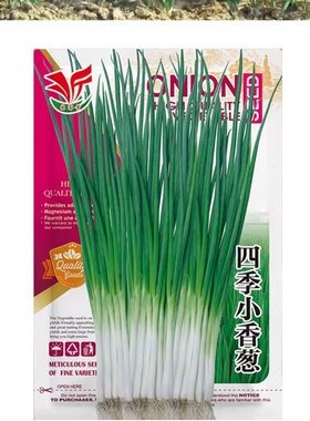 四季速生耐寒耐热小香葱种子