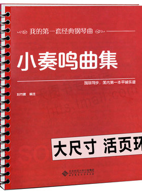 【活页环扣】小奏鸣曲集 大尺寸平铺乐谱大音符弹奏入门学生手指技巧经典曲谱练习教材程书籍巴赫贝多芬莫扎特克列门蒂大调前奏曲