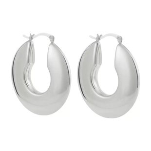 我们野蛮生长郭宇欣江南同款银色耳环女大号金属耳饰2026新款气质