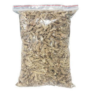 蝴蝶兰专用智利进口优质干水苔