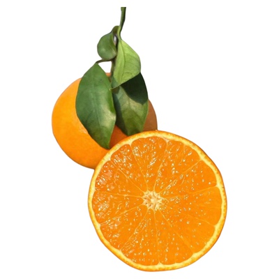 云南玉溪爱媛果冻橙当季新鲜水果