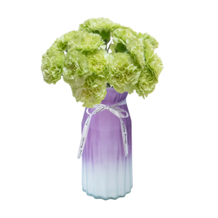 康乃馨鲜花云南基地直发鲜切花真花母亲节教师节花束家用水养插花