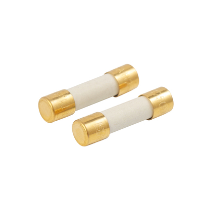 瑞士合金5x20mm冷冻版发烧保险管