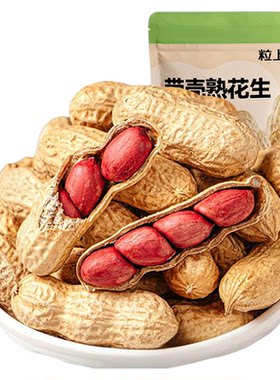 【粒上皇_原味红皮花生500g】炒货追剧解馋下酒菜休闲零食旗舰店