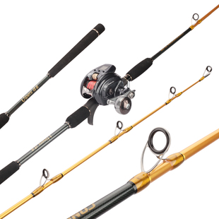 轻型手持电绞竿电动铁板竿碳素富士旋转导环海钓船竿深海船钓竿