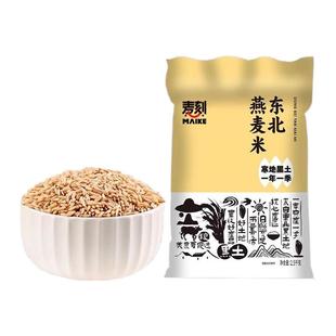 24年东北燕麦米生燕麦仁农家裸燕麦新米胚芽米燕麦粒杂粮粗粮