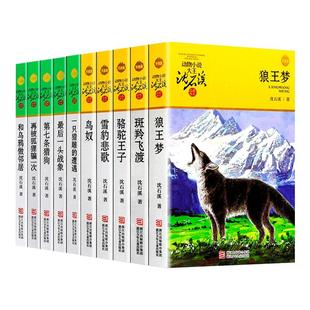 全集36册沈石溪动物小说品藏书系列 狼王梦斑羚飞渡第七条猎狗雪豹悲歌混血豺王珍藏版全套画本生肖正版