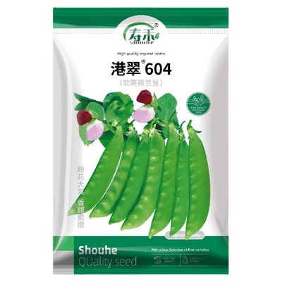 四季荷兰豆蔬菜种子菜籽寿禾