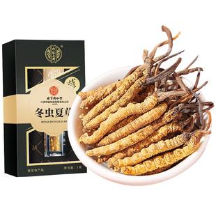 西藏虫草冬虫夏草官方旗舰店非鲜虫草正品头期虫草干货滋补品礼盒