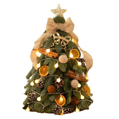 亨勒进口鲜活圣诞树诺贝松真树