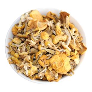 长白山小黄蘑滑子蘑小黄蘑菇小松蘑黄蘑250g特产