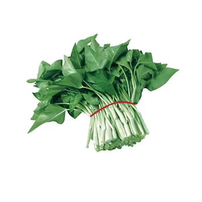 空心菜种子白梗通心菜种
