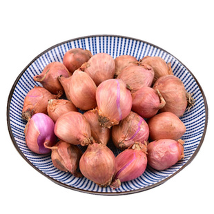 东北毛葱头正宗笨毛葱农家蘸酱菜新葱上市红皮紫皮毛葱鲜辣包邮