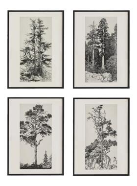 客厅背景墙中古黑白艺术植物挂画