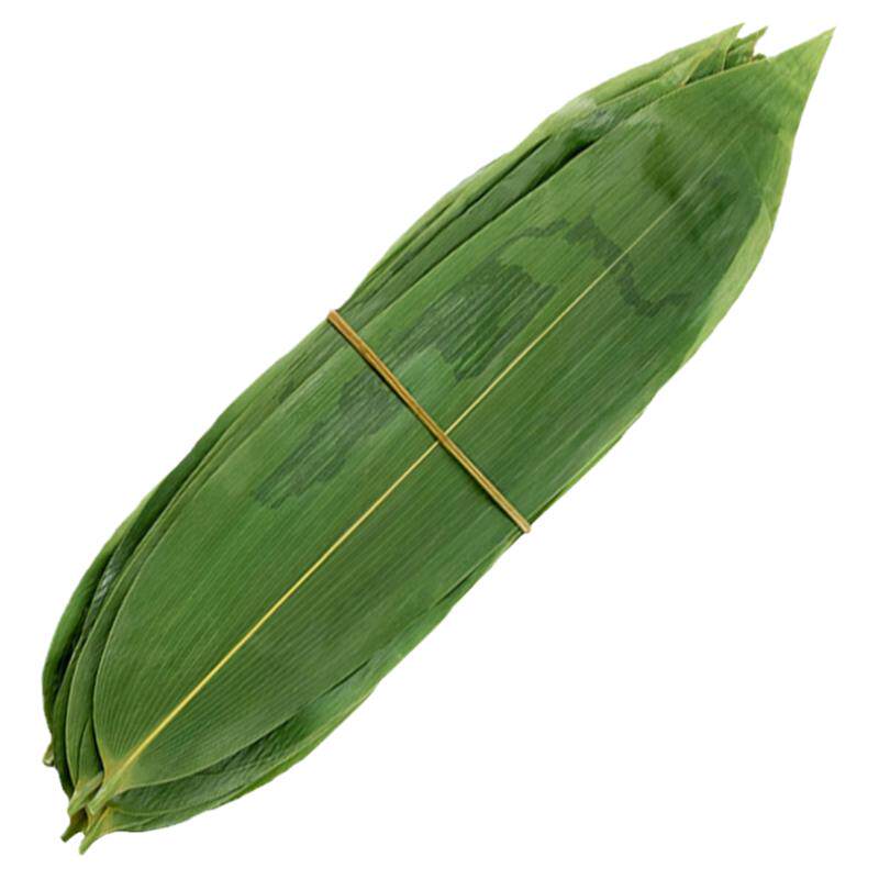 野生棕叶精选大叶片现摘现发
