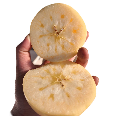 山东烟台奶油富士苹果每天现摘