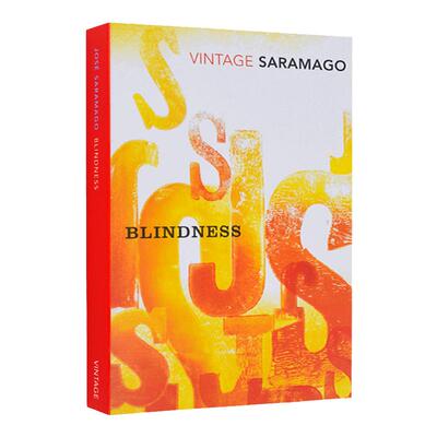 失明症漫记 Blindness 同名电影原著 文学小说 诺贝尔文学奖得主 若泽萨拉马戈Jose Saramago