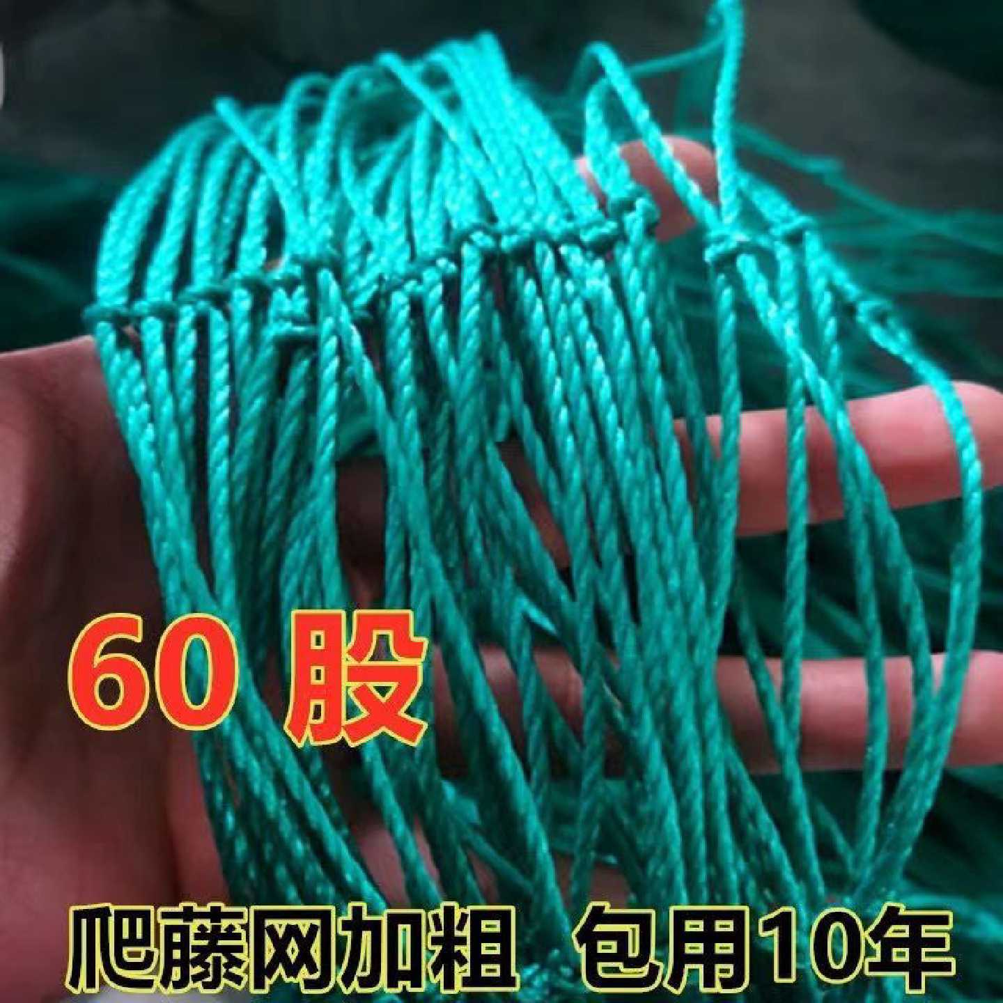 植物爬藤网加粗黄瓜网百香果网吊瓜种植葡萄架网园艺攀爬网防护网