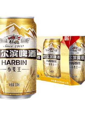 哈尔滨小麦王啤酒6听
