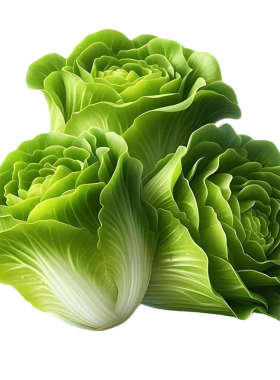 蔬菜水果贴纸厨房冰箱贴装饰画贴瓷砖遮丑防水自粘超市新鲜区高清