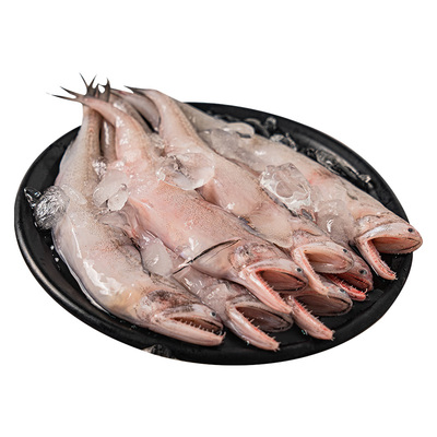 【舟山海鲜】新鲜豆腐鱼/龙头鱼