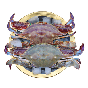 舟山梭子蟹新鲜生鲜冷冻部分次日达特大螃蟹蜞飞蟹子海蟹白蟹海鲜