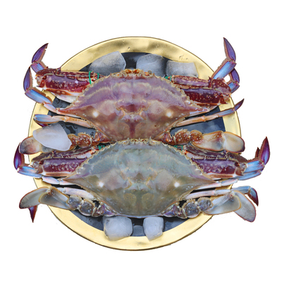 【包肥】舟山梭子蟹/顺丰到家