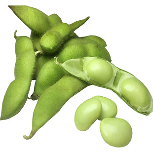 毛豆苗种籽春季蔬菜苗青豆早熟带土发货绿黄豆秧苗四季豆花生秧苗