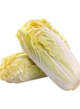 四季黄心娃娃菜小白菜种子