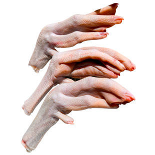 【古井恒益鹅掌】广东老字号 新鲜鹅掌土鹅冰鲜鹅爪现杀2斤约24个