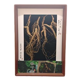 长白山林下参移山参约15年正宗特产人参礼盒送长辈送父母滋补品