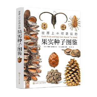 世界上不可思议的果实种子图鉴 300张高精细果实图片 正版书籍