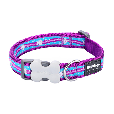 澳洲Reddingo狗狗项圈牵引绳遛狗