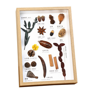 diy手工相框中空立体标本蝴蝶贝壳石头植物干花收藏昆虫展示画框