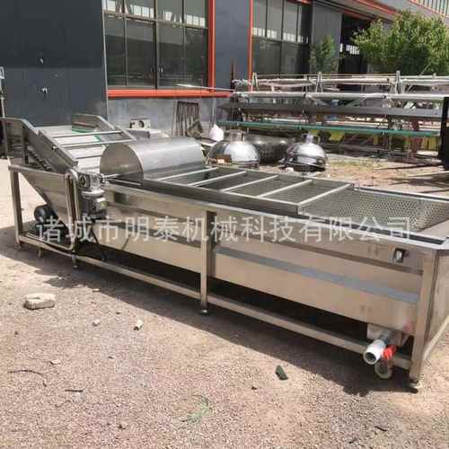 全自动果蔬气泡清洗机橙子橘子小龙虾净菜土豆丝菠菜高压清洗设备