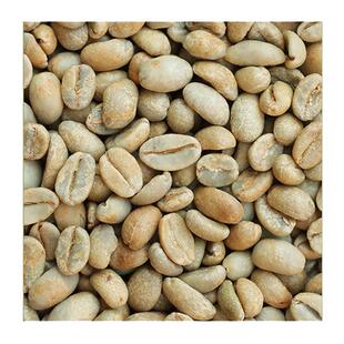 【自营】DGTOP深红果1931 Karmach日晒G1瑰夏咖啡生豆 可代烘