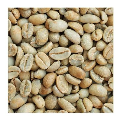 1931瑰夏KarmachG1生豆可代烘