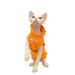 潮牌连帽卫衣马甲任发财无毛猫衣服斯芬克斯猫德文橘色